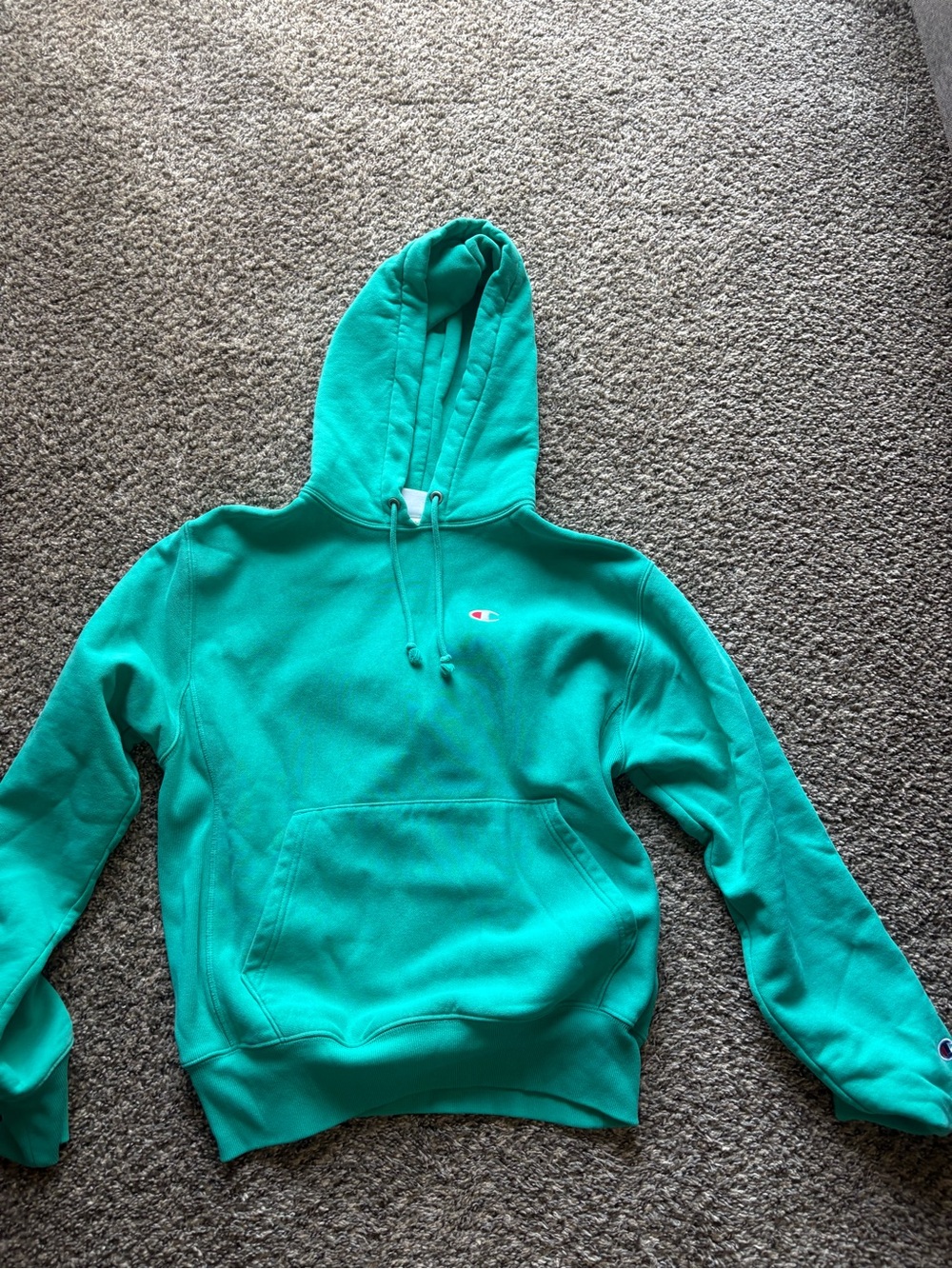 Champion Teal Crewneck Hoodie